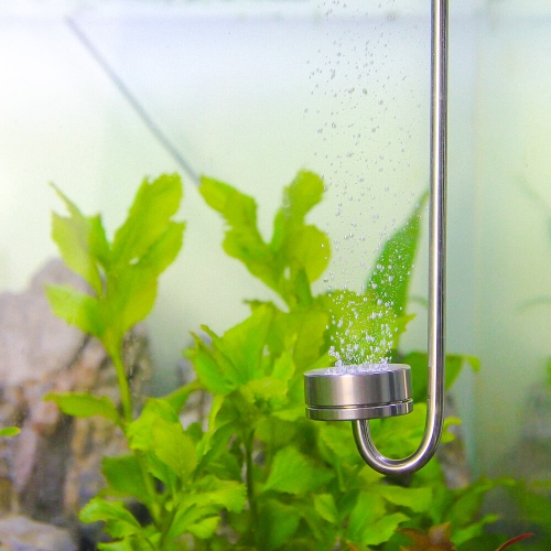 Stainless Steel Aquarium Co2 Diffuser L Size at Low Price Buy