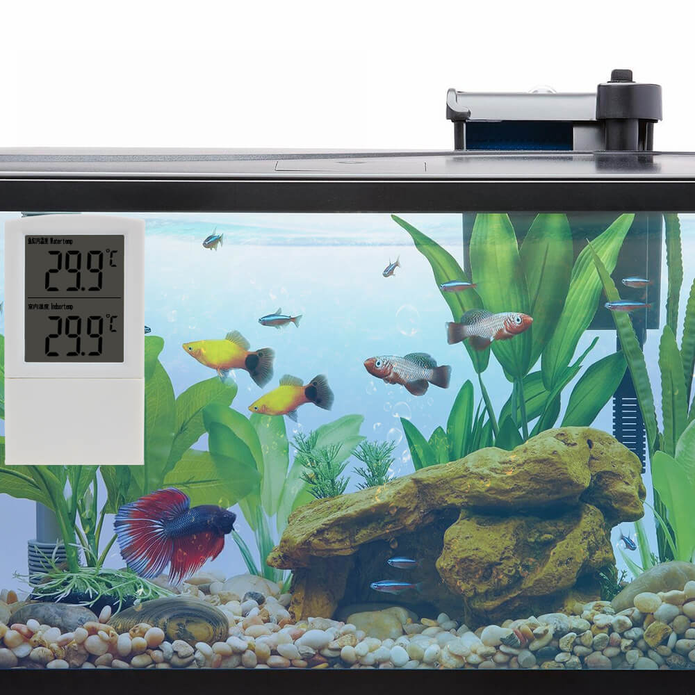 Numérique Aquarium et Indoor Thermomètre