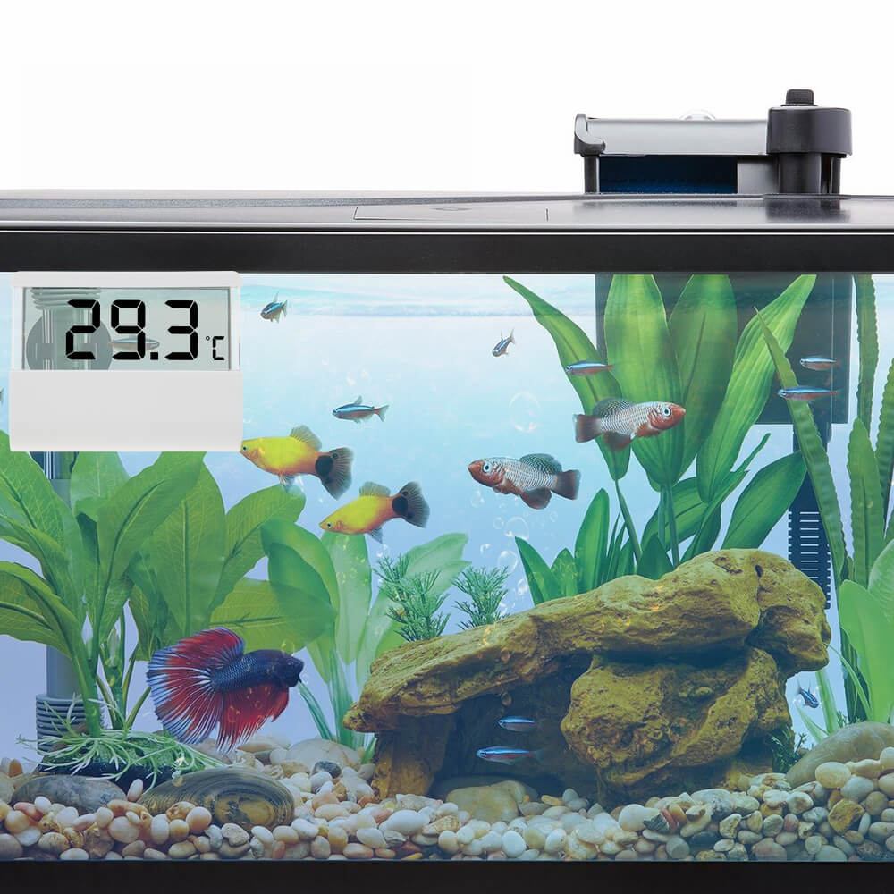 Thermomètre d'aquarium numérique