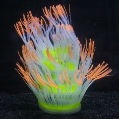 Fluoreszierend Dekor: Seeanemone