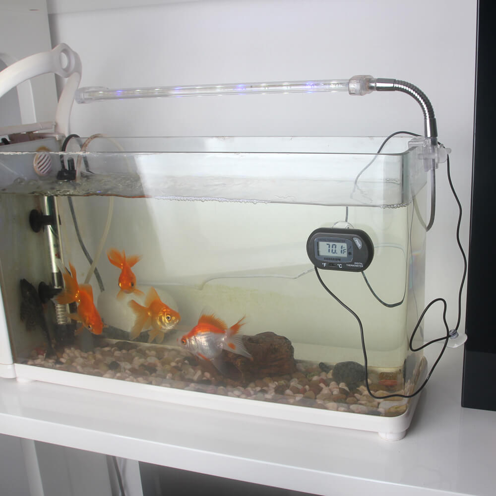 Floating Glass Thermometer  Aquarium Thermometer for Fish Tanks