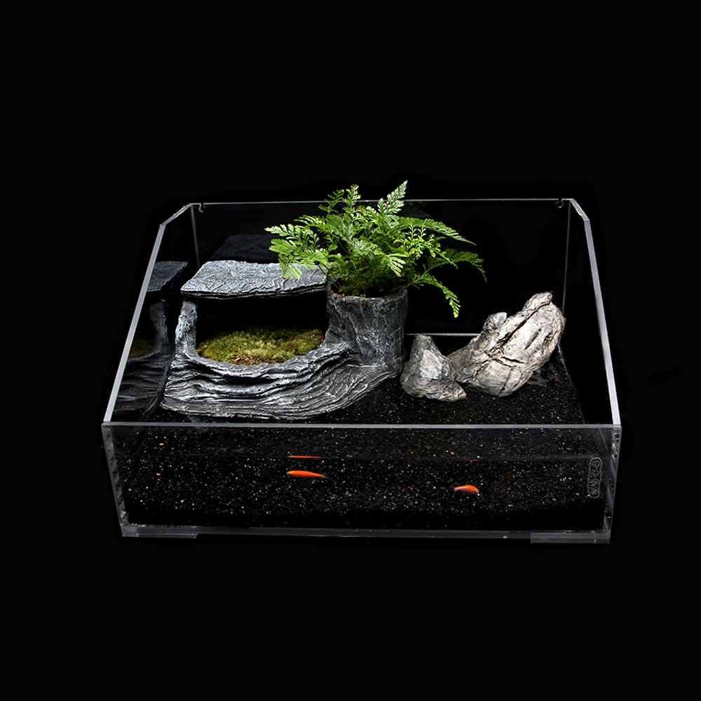 The Definitive Guide to Turtle Tanks