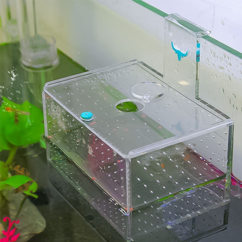 Isolation Box for Fish Tank Breeding Baby Fish