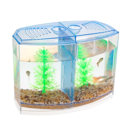 Cheap shop fish tanks