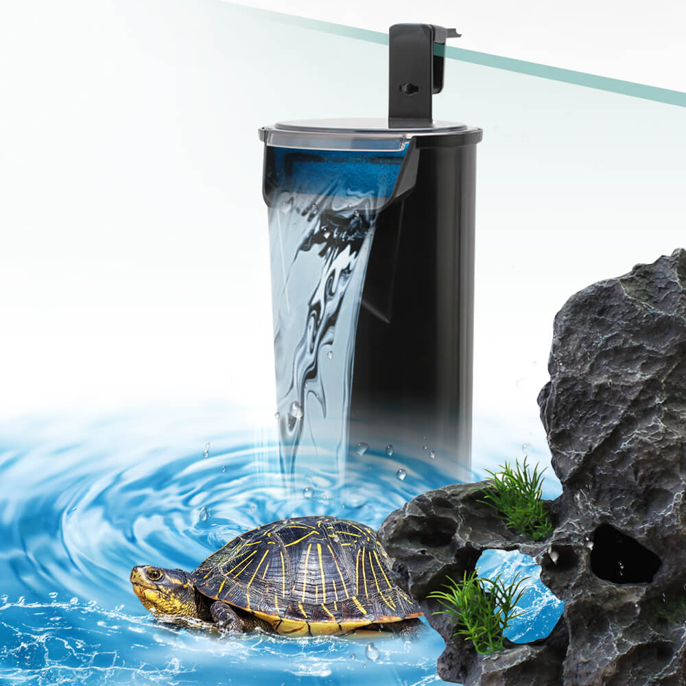 Create a World for Your Turtle in the Home Aquarium