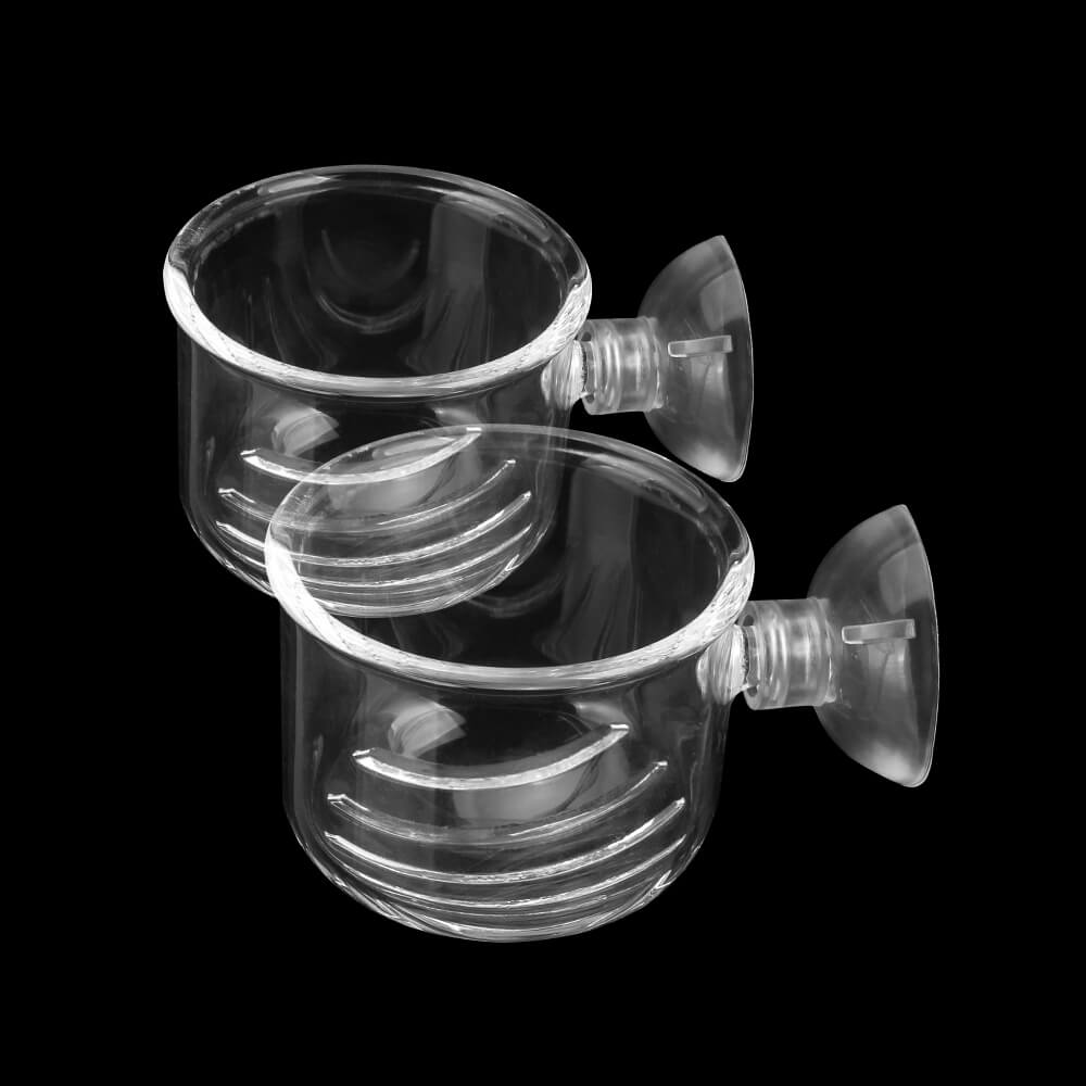 Glas Rote Wurm Feeder 2pcs