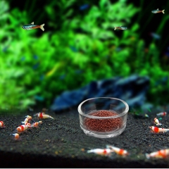 Reptile Water Dish Glass Aquarium Shrimp Food Bowl