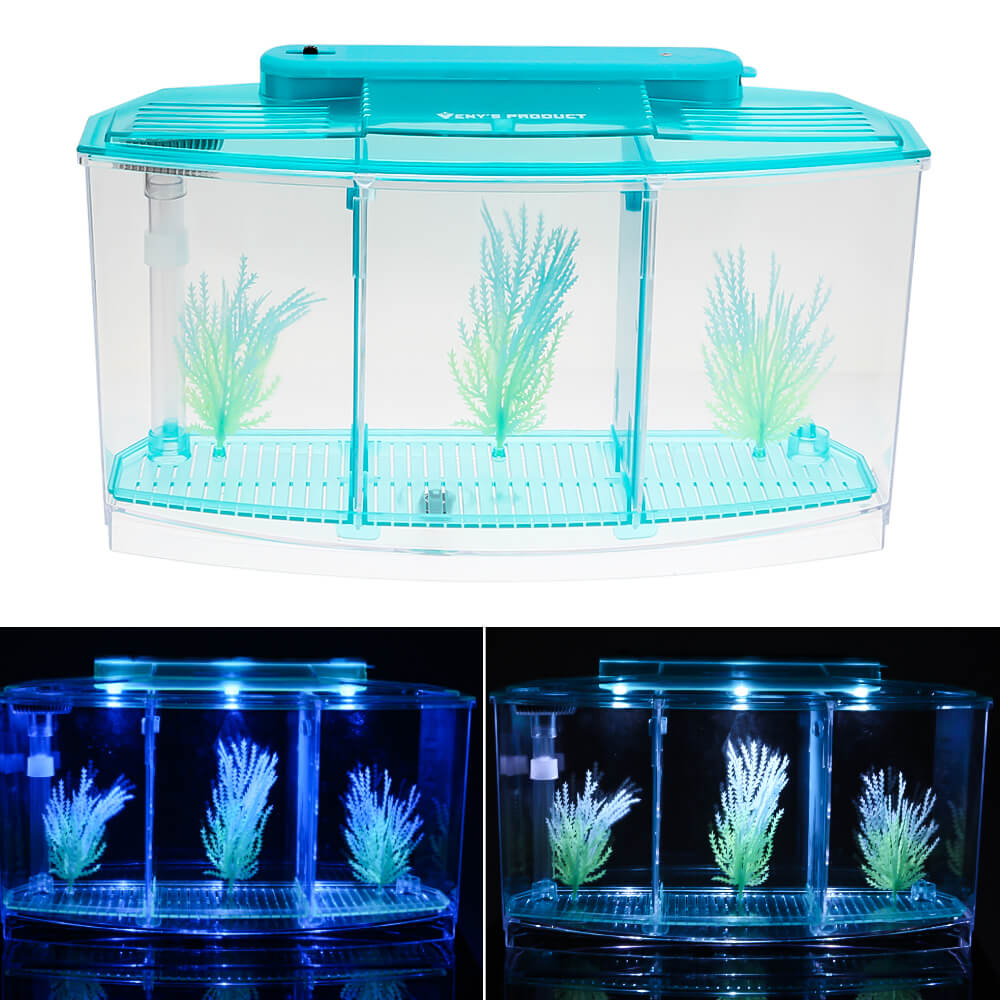 Cheap aquariums 2025