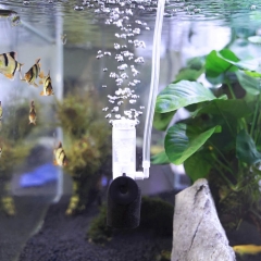 Aquarium Luftbetriebener Mini-Schwammfilter
