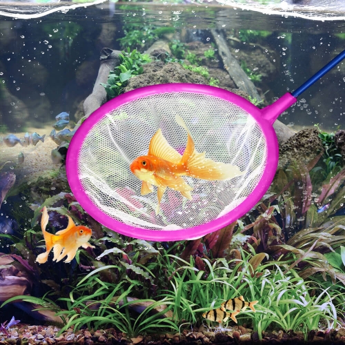 Fish Tank Net S/L