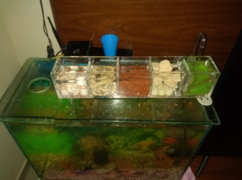 Aquarium filtration systems sale