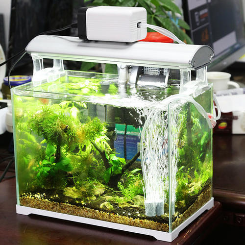 Aquarium Aeration and Oxygenation