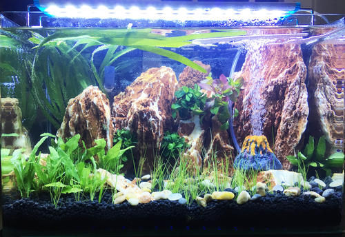 How to Build a Simple High-end Fish Tank Landscaping.