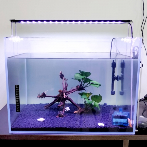 senzeal aquarium light