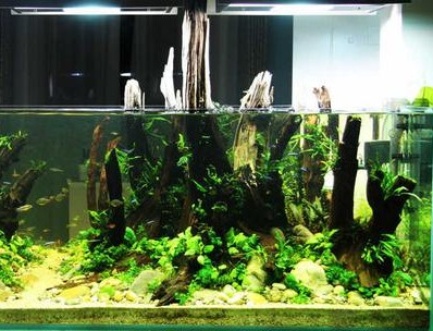 Water grass mud ceramsite sand fish tank bottom sand aquatic