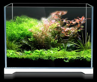 How to Build a Simple High-end Fish Tank Landscaping.