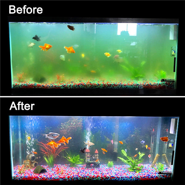 Beide Fervent Meyella Functions of aquarium UV light sterilizer