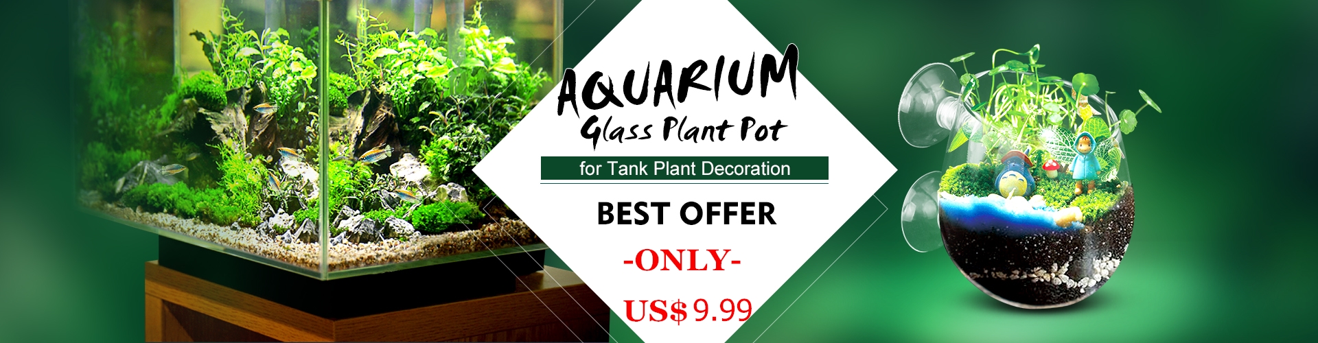 Senzeal | Aquarium Plant Pot Glass Plant Holder