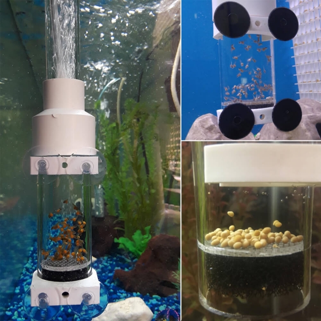 Why do we need the birthing tank for fish?