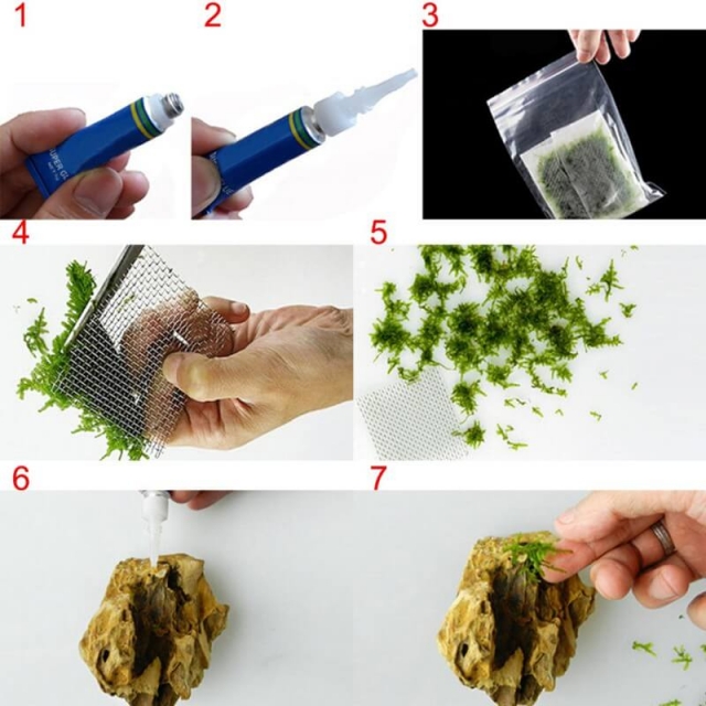 The secret of putting together decorative rocks in aquariums