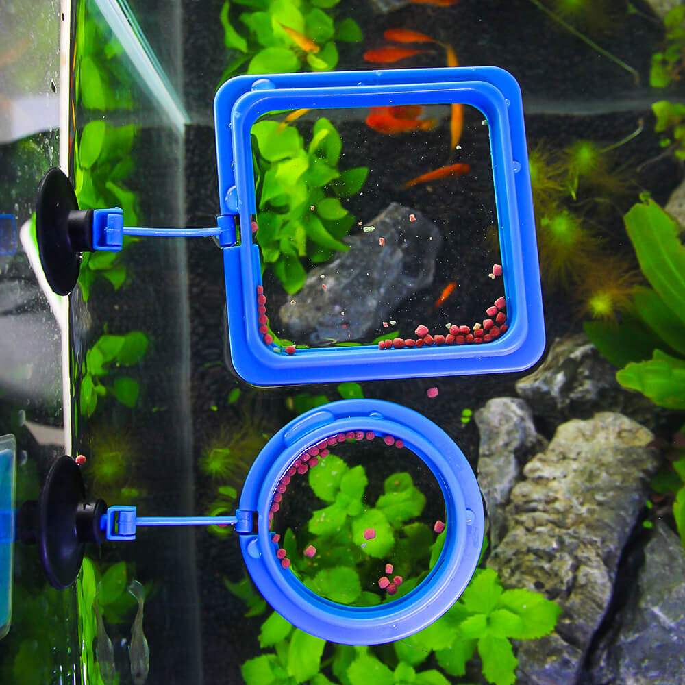 Feeding Floating Ring for Betta Fish Goldfish Tank Aquarium Plants