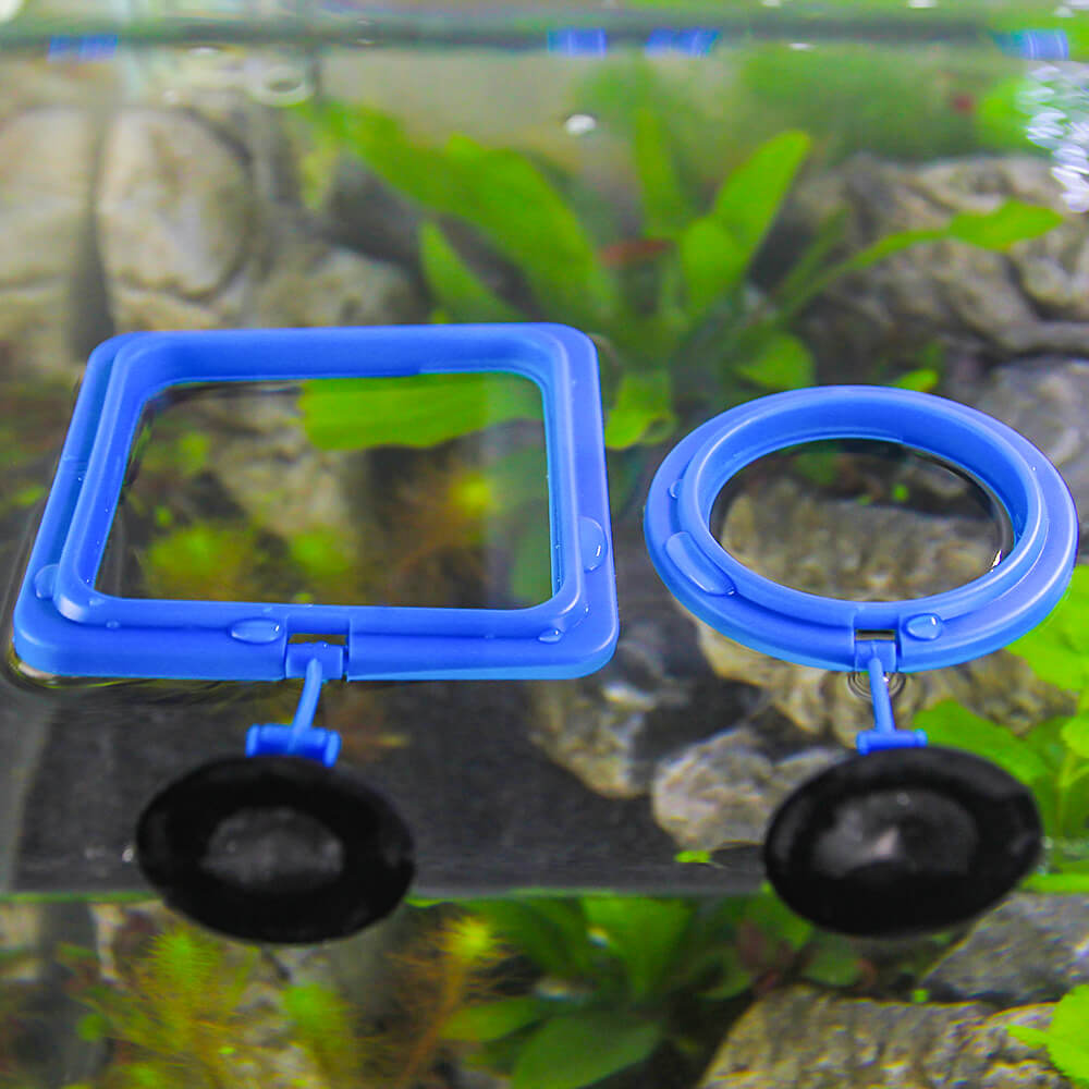 Aquarium Feeding Ring