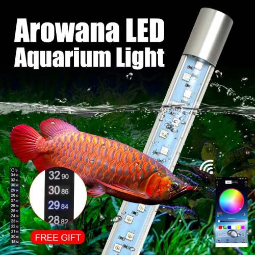 LED Aquarium Light Remote Control Arowana Lighting 6W/12W Low Price Online | Senzeal