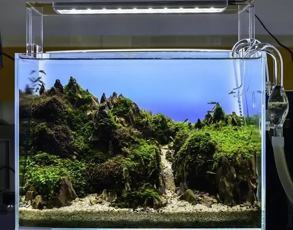 How To Build A Simple High End Fish Tank Landscaping - Diy Aquarium Decorations Reddit