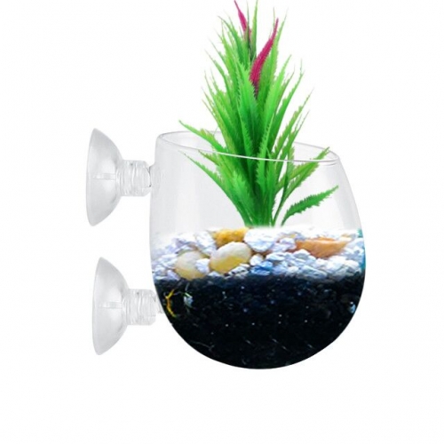 水生植物 ガラスカップポット 花瓶 2pcs