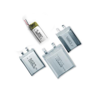 Standard Lithium-ion polymer battery