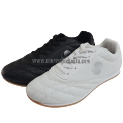 Tai Chi Shoes-shoppingkunggu