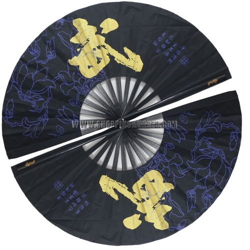 Bamboo Tai chi Fan Martial arts Kung fu Training Fans High Quality