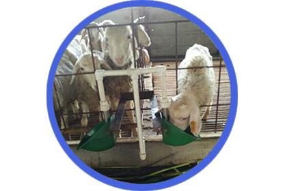 Система питьевой воды