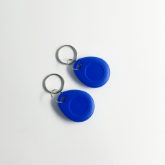 RFID Blue Keychain