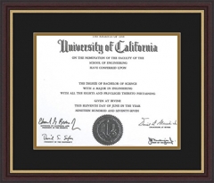 Fashion & Classic Diploma/Certificate Frame Displays For Graduation/University, Diploma Frames DF08