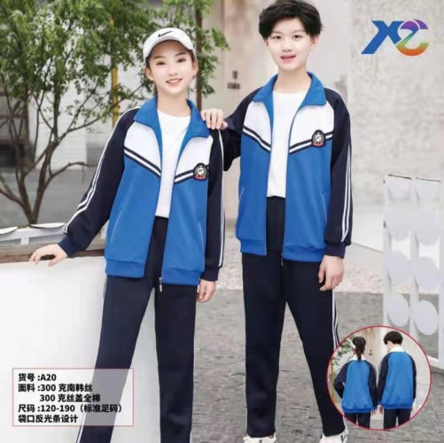 中小学春秋款校服