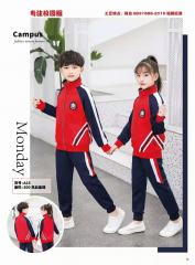中小学春秋款校服