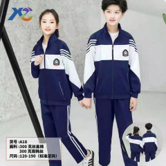中小学春秋款校服