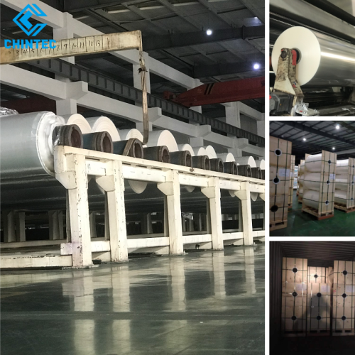 Excellent Printing Adaptability Biodegradable Packaging PLA Plastic Film For Label Shrink Sleeves