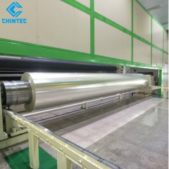 Thickness 4μm to 125μm Mylar Rolls for Sale, China Professional Producer 15000 Tonnes Monthly Capacity