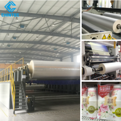 China Professional Plastic Packaging Roll Material BOPP Film Producer