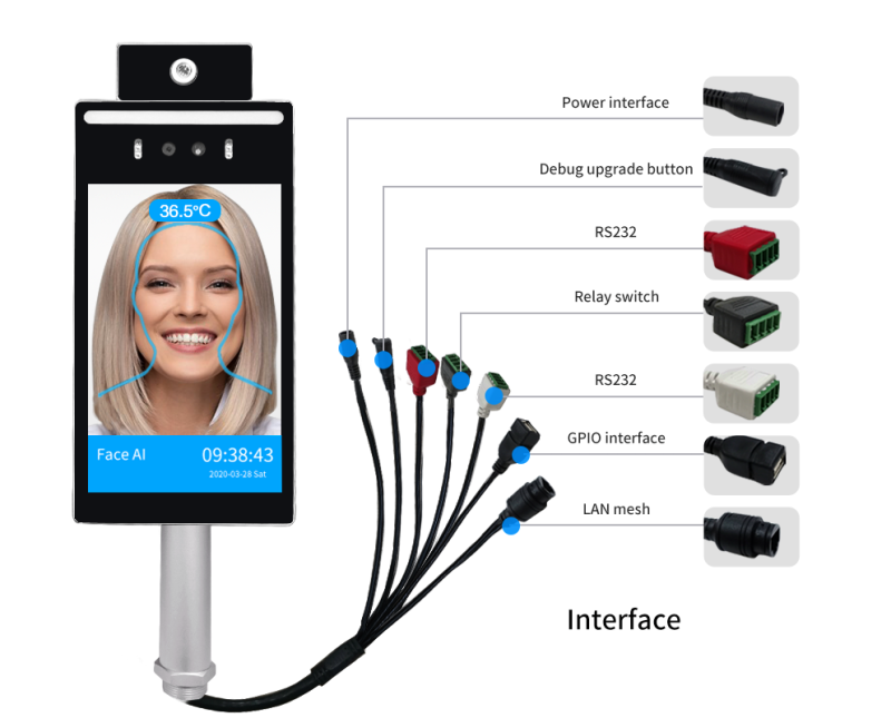 Winson 8P Linux Face Recognition Temperature Detect Access Control System