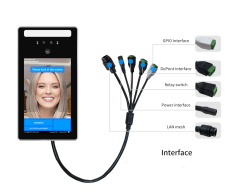 Winson Face Recognition Temperature Terminal