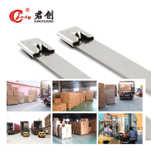 JCST005 316 stainless steel cable tie