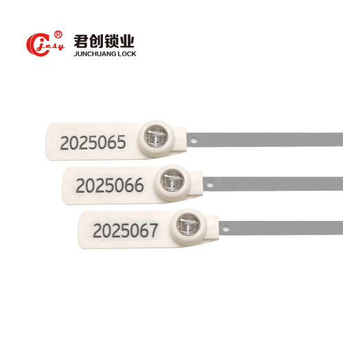 JCSS006 one time use metal strip seal china