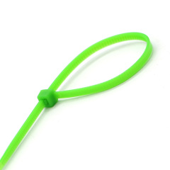 Nylon coloré réglable serrure en plastique Nylon bracelet câble Zip cravate