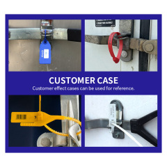 Customs container seal JCPS007