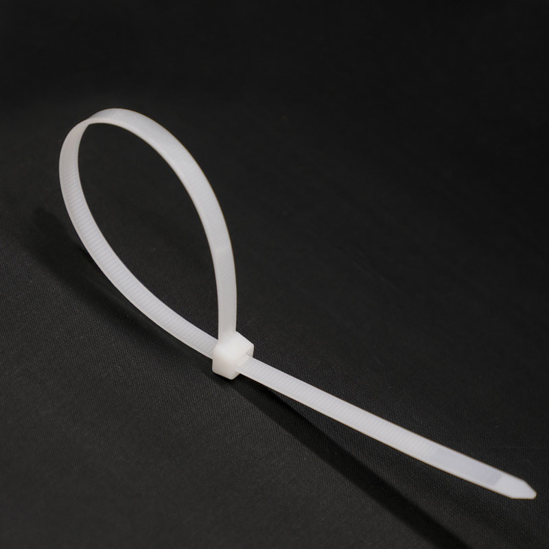 Échantillon gratuit meilleure qualité Nylon câble cravate avec beaucoup de taille