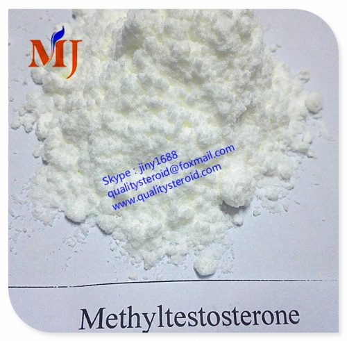 male sex Methyltestosterone