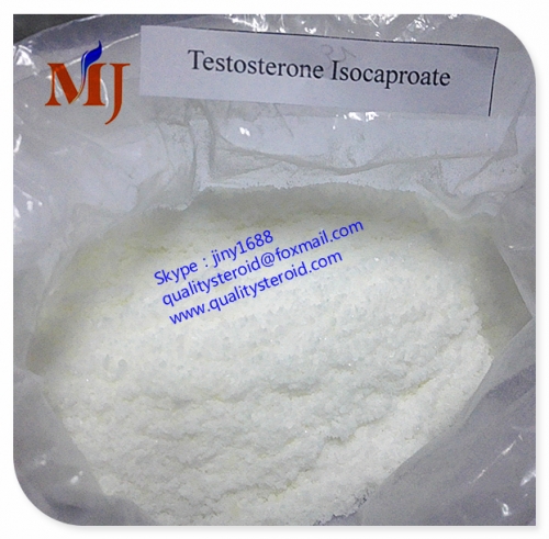 Testosterone Isocaproate